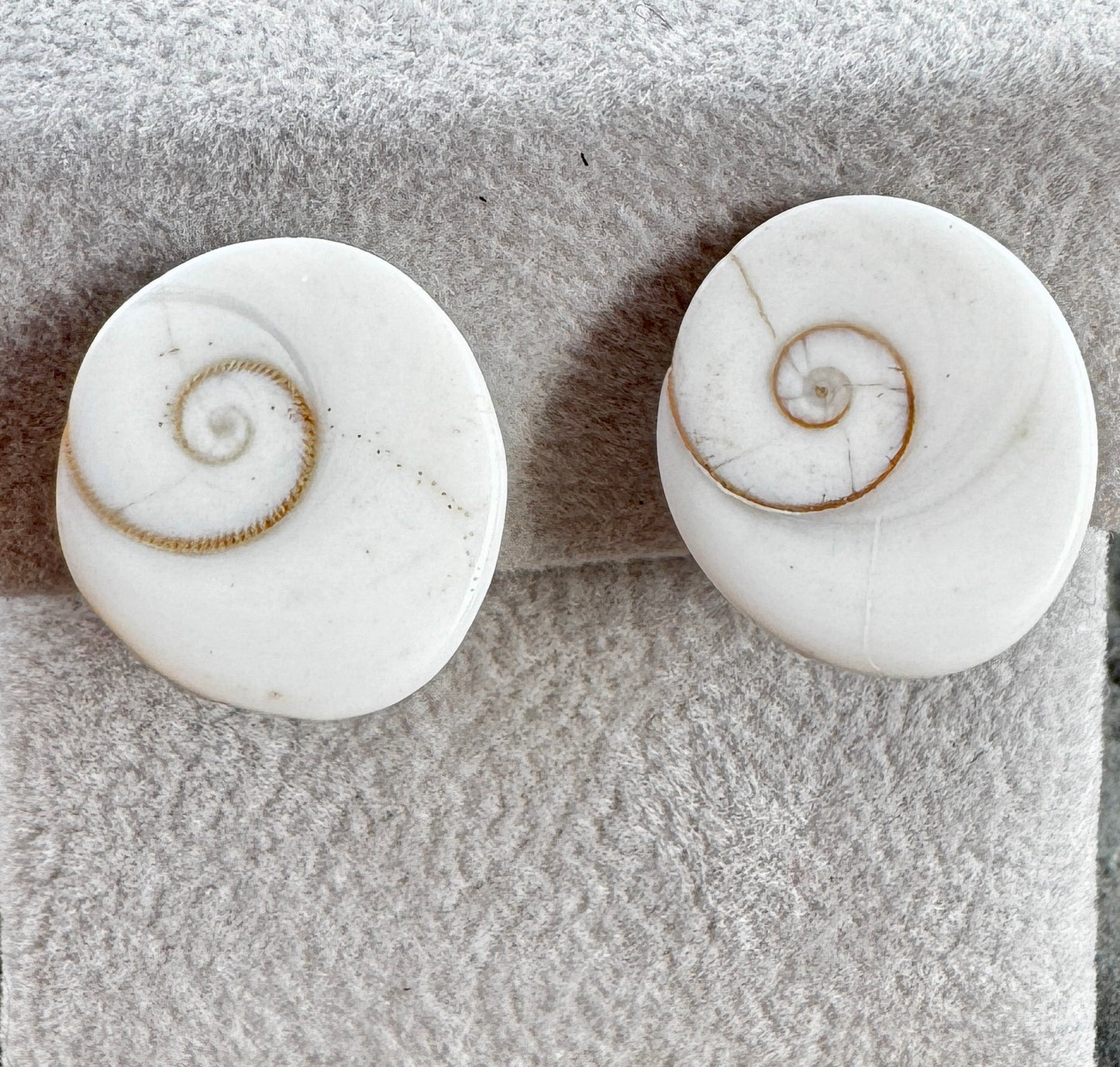 "Golden Spiral Fossil": Clip-on earring